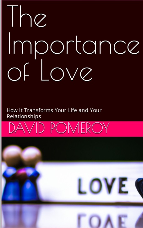 The Importance of Love Ebook